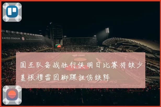 国王队备战独行侠明日比赛将缺少基根穆雷因脚踝扭伤缺阵