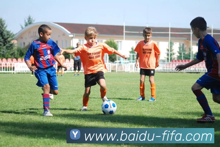 世界杯买球服务体系